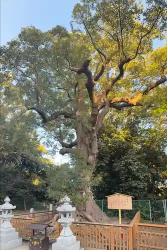 和泉國一之宮　大鳥大社(大阪府)