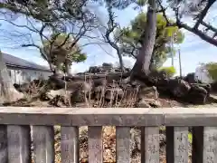 日吉浅間神社(静岡県)