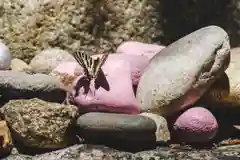 尾張冨士大宮浅間神社の動物