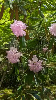 圓光寺(京都府)