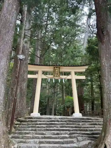 飛瀧神社（熊野那智大社別宮）の{uncategorized: "未分類", other: "その他", undefined: "問題あり", building: "その他建物", grave: "お墓", sacred_gate: "鳥居", guardian: "狛犬", statue: "像", buddha: "仏像", history: "歴史", nature: "自然", garden: "庭園", animal: "動物", pagoda: "塔", temizu: "手水舎", mountain_gate: "山門・神門", sanctuary: "本殿・本堂", subordinate: "末社・摂社", art: "芸術", scenery: "景色", jizo: "地蔵", ema: "絵馬", goshuin: "御朱印", omikuji: "おみくじ", items: "授与品その他", amulet: "お守り", goshuincho: "御朱印帳", eats: "食事", festival: "お祭り", votive_dance: "神楽", shichigosan: "七五三参", wedding: "結婚式", experience: "体験その他", initially: "初詣", around: "周辺", anti_infection: "感染症対策"}