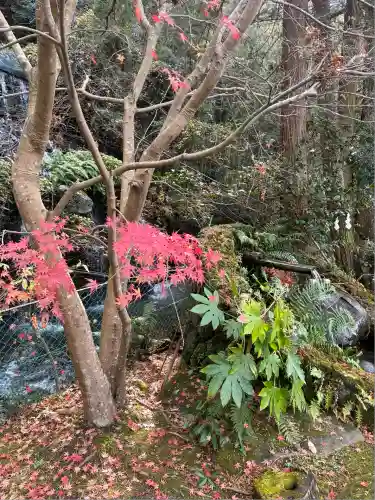 瀧川神社(静岡県)