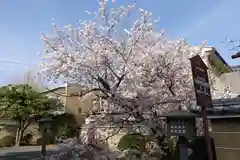 大報恩寺（千本釈迦堂）(京都府)