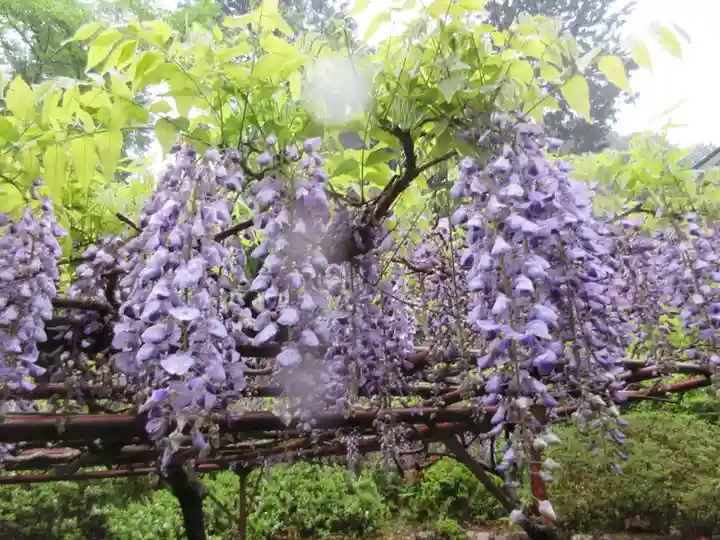 石山寺(滋賀県)