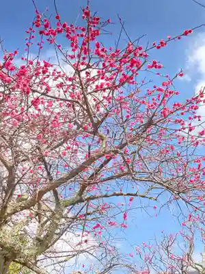 林渓寺(兵庫県)