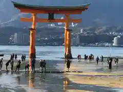 厳島神社の鳥居