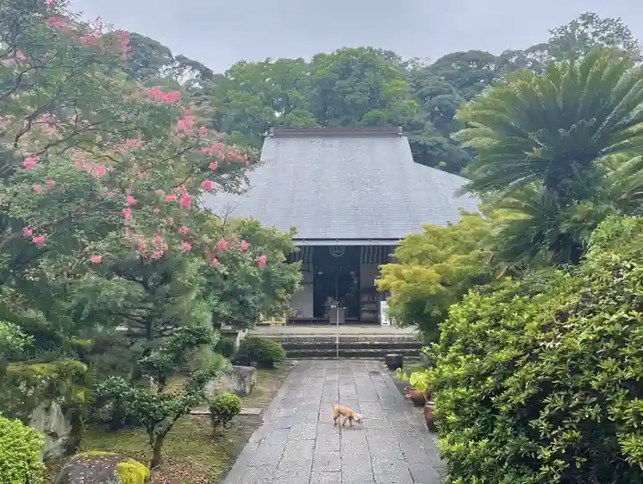 伊勢の国 四天王寺の本殿・本堂