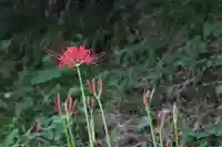 国宝 大法寺の自然