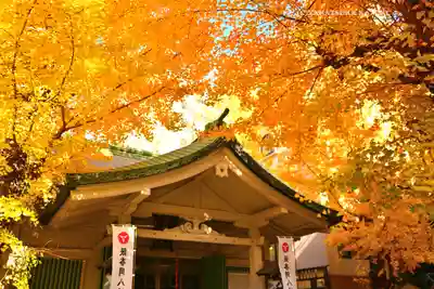 銀杏岡八幡神社(東京都)