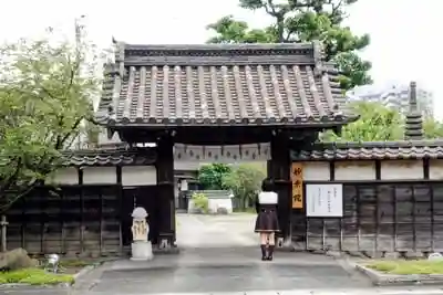 四季桜の寺 妙乗院の山門