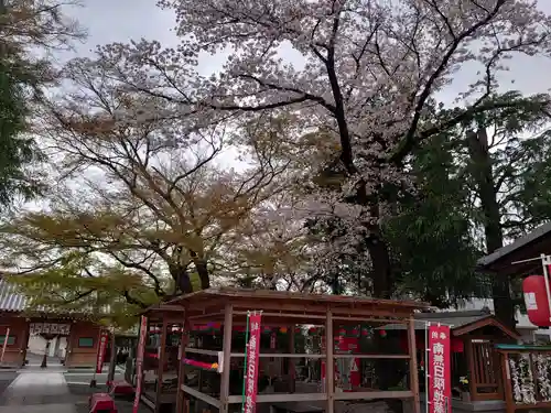 日限地蔵尊 観音院の庭園