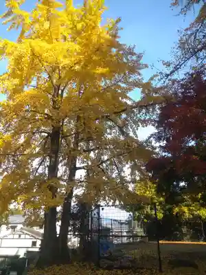 粟島神社の自然
