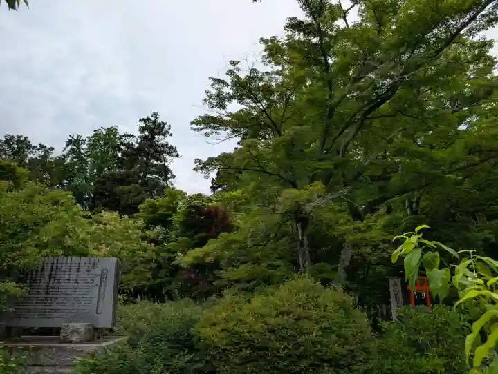 多聞院の{uncategorized: "未分類", other: "その他", undefined: "問題あり", building: "その他建物", grave: "お墓", sacred_gate: "鳥居", guardian: "狛犬", statue: "像", buddha: "仏像", history: "歴史", nature: "自然", garden: "庭園", animal: "動物", pagoda: "塔", temizu: "手水舎", mountain_gate: "山門・神門", sanctuary: "本殿・本堂", subordinate: "末社・摂社", art: "芸術", scenery: "景色", jizo: "地蔵", ema: "絵馬", goshuin: "御朱印", omikuji: "おみくじ", items: "授与品その他", amulet: "お守り", goshuincho: "御朱印帳", eats: "食事", festival: "お祭り", votive_dance: "神楽", shichigosan: "七五三参", wedding: "結婚式", experience: "体験その他", initially: "初詣", around: "周辺", anti_infection: "感染症対策"}