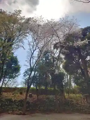 腰掛神社(神奈川県)