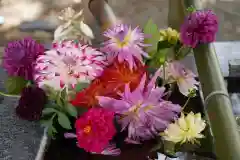 高司神社〜むすびの神の鎮まる社〜の手水