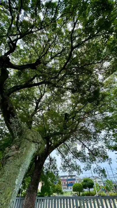 彌刀神社(大阪府)