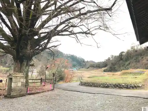 観音堂の庭園