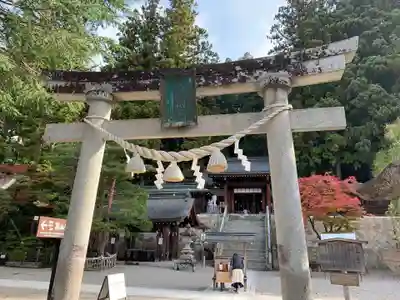 櫻山八幡宮(岐阜県)