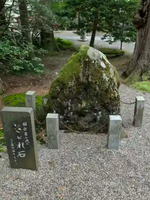 越中一宮 髙瀬神社の{uncategorized: "未分類", other: "その他", undefined: "問題あり", building: "その他建物", grave: "お墓", sacred_gate: "鳥居", guardian: "狛犬", statue: "像", buddha: "仏像", history: "歴史", nature: "自然", garden: "庭園", animal: "動物", pagoda: "塔", temizu: "手水舎", mountain_gate: "山門・神門", sanctuary: "本殿・本堂", subordinate: "末社・摂社", art: "芸術", scenery: "景色", jizo: "地蔵", ema: "絵馬", goshuin: "御朱印", omikuji: "おみくじ", items: "授与品その他", amulet: "お守り", goshuincho: "御朱印帳", eats: "食事", festival: "お祭り", votive_dance: "神楽", shichigosan: "七五三参", wedding: "結婚式", experience: "体験その他", initially: "初詣", around: "周辺", anti_infection: "感染症対策"}