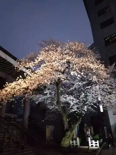 常圓寺(東京都)