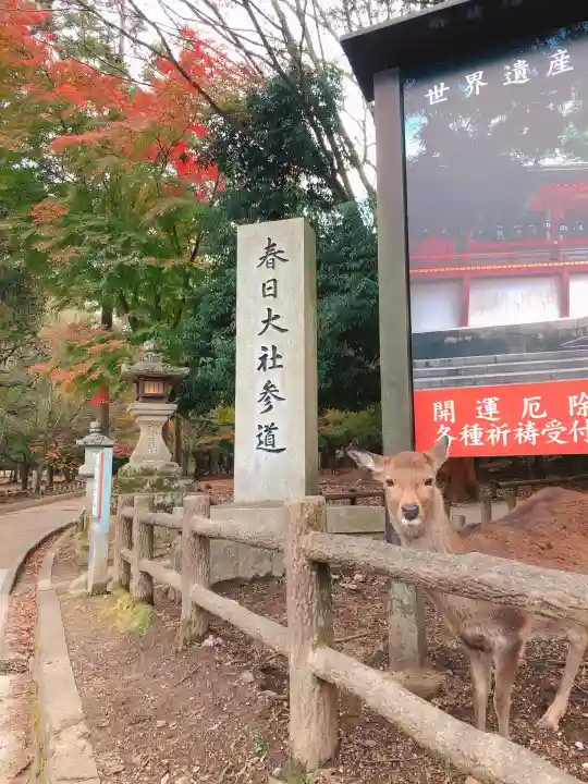 春日大社(奈良県)