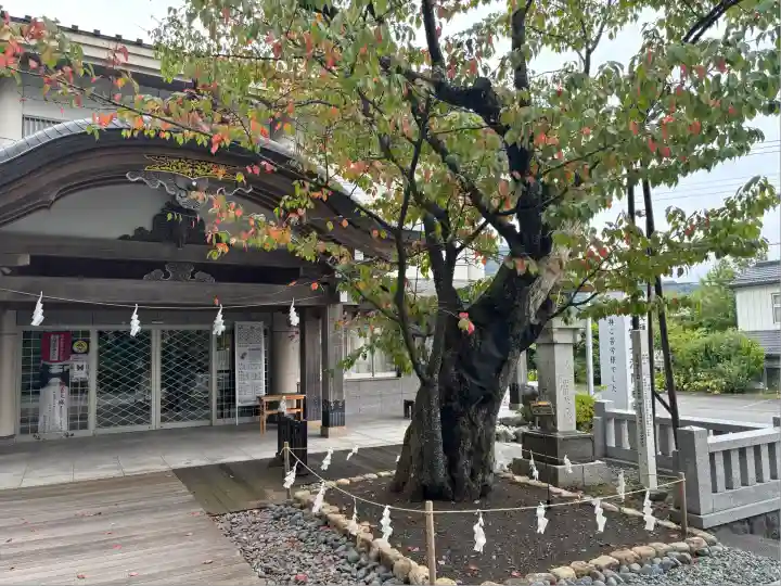 富士山東口本宮 冨士浅間神社(静岡県)