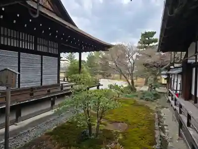 大覚寺(京都府)