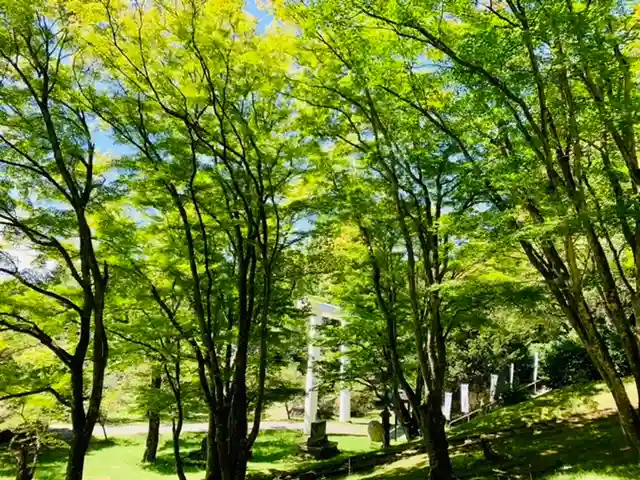土津神社|こどもと出世の神さまの自然
