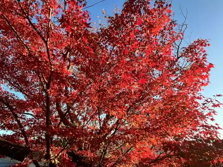 宝来山神社(和歌山県)