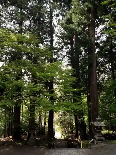 金櫻神社の自然