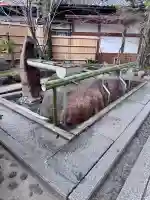 安井金比羅宮の{uncategorized: "未分類", other: "その他", undefined: "問題あり", building: "その他建物", grave: "お墓", sacred_gate: "鳥居", guardian: "狛犬", statue: "像", buddha: "仏像", history: "歴史", nature: "自然", garden: "庭園", animal: "動物", pagoda: "塔", temizu: "手水舎", mountain_gate: "山門・神門", sanctuary: "本殿・本堂", subordinate: "末社・摂社", art: "芸術", scenery: "景色", jizo: "地蔵", ema: "絵馬", goshuin: "御朱印", omikuji: "おみくじ", items: "授与品その他", amulet: "お守り", goshuincho: "御朱印帳", eats: "食事", festival: "お祭り", votive_dance: "神楽", shichigosan: "七五三参", wedding: "結婚式", experience: "体験その他", initially: "初詣", around: "周辺", anti_infection: "感染症対策"}