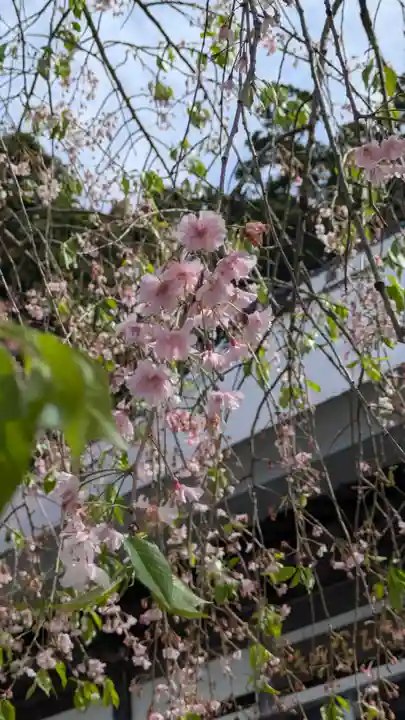 天正寺(滋賀県)