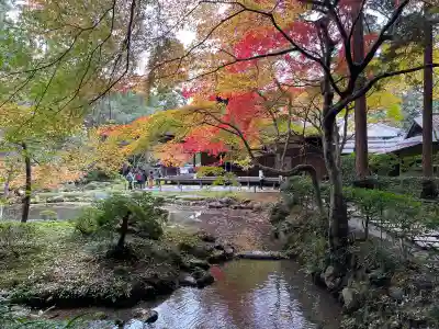 南禅院(京都府)