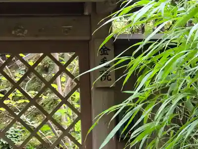 金毛院(京都府)