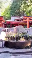 箱根神社の手水舎