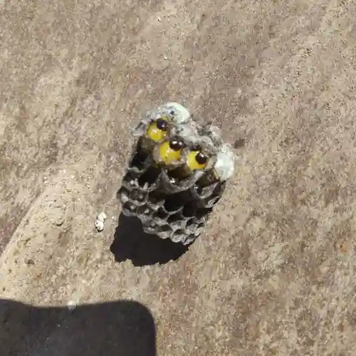 七重浜海津見神社(北海道)