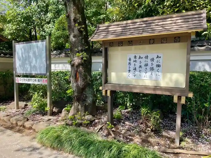 東福寺の{uncategorized: "未分類", other: "その他", undefined: "問題あり", building: "その他建物", grave: "お墓", sacred_gate: "鳥居", guardian: "狛犬", statue: "像", buddha: "仏像", history: "歴史", nature: "自然", garden: "庭園", animal: "動物", pagoda: "塔", temizu: "手水舎", mountain_gate: "山門・神門", sanctuary: "本殿・本堂", subordinate: "末社・摂社", art: "芸術", scenery: "景色", jizo: "地蔵", ema: "絵馬", goshuin: "御朱印", omikuji: "おみくじ", items: "授与品その他", amulet: "お守り", goshuincho: "御朱印帳", eats: "食事", festival: "お祭り", votive_dance: "神楽", shichigosan: "七五三参", wedding: "結婚式", experience: "体験その他", initially: "初詣", around: "周辺", anti_infection: "感染症対策"}
