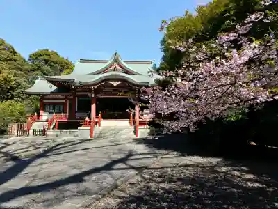 武蔵野八幡宮の{uncategorized: "未分類", other: "その他", undefined: "問題あり", building: "その他建物", grave: "お墓", sacred_gate: "鳥居", guardian: "狛犬", statue: "像", buddha: "仏像", history: "歴史", nature: "自然", garden: "庭園", animal: "動物", pagoda: "塔", temizu: "手水舎", mountain_gate: "山門・神門", sanctuary: "本殿・本堂", subordinate: "末社・摂社", art: "芸術", scenery: "景色", jizo: "地蔵", ema: "絵馬", goshuin: "御朱印", omikuji: "おみくじ", items: "授与品その他", amulet: "お守り", goshuincho: "御朱印帳", eats: "食事", festival: "お祭り", votive_dance: "神楽", shichigosan: "七五三参", wedding: "結婚式", experience: "体験その他", initially: "初詣", around: "周辺", anti_infection: "感染症対策"}