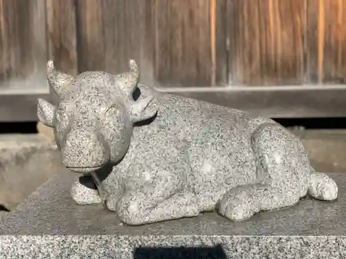 赤羽八幡神社の狛犬