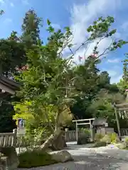 白鷺神社の自然