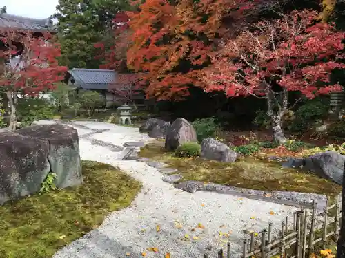 南禅寺の庭園