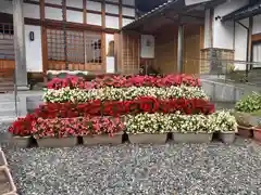 瑞伝寺(福井県)