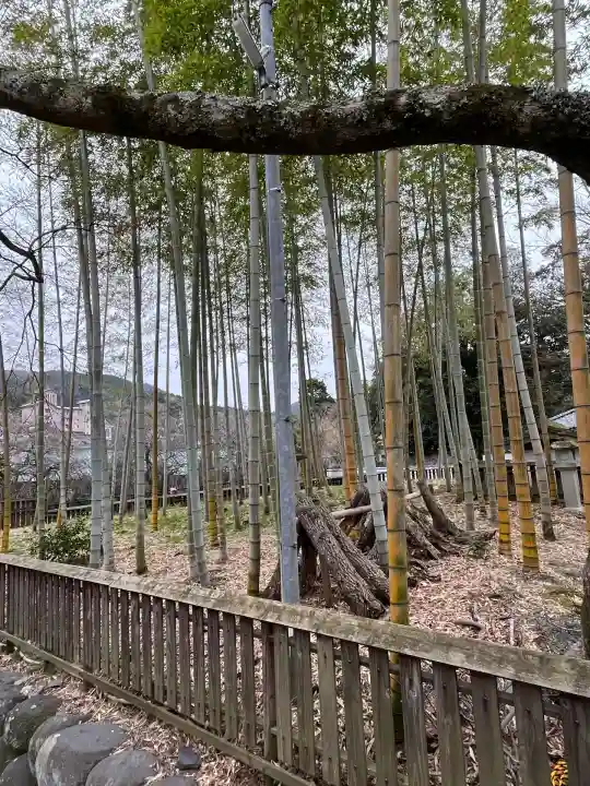 修禅寺(静岡県)