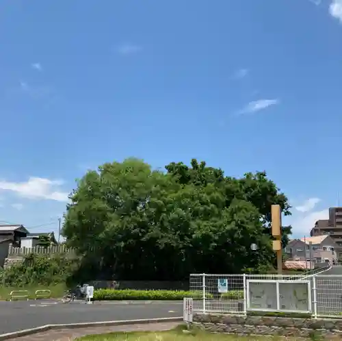 君貢神社の景色