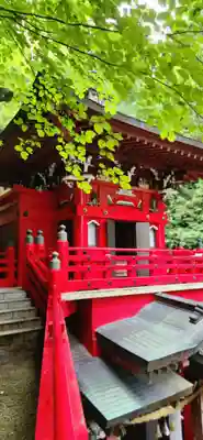大正寺(中野不動尊)の本殿・本堂