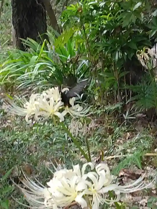 横浜 西方寺(神奈川県)