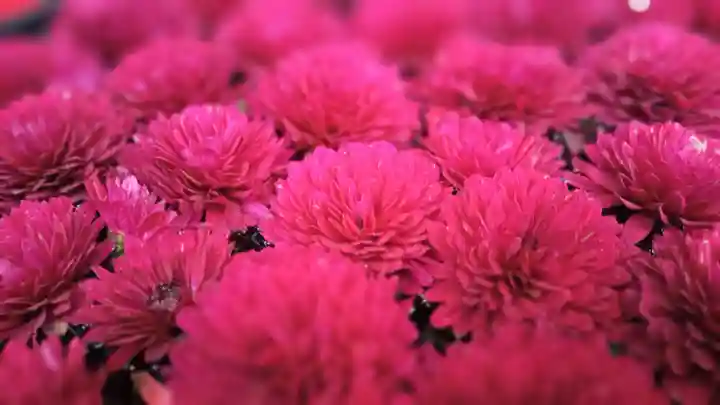 阿邪訶根神社(福島県)