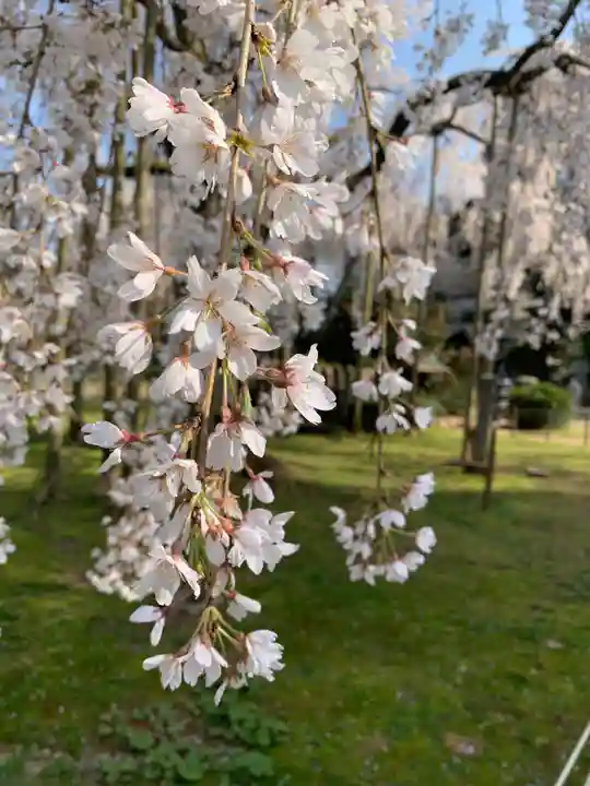 足羽神社(福井県)