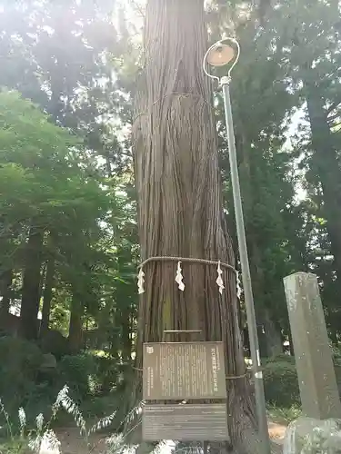 河口浅間神社(山梨県)