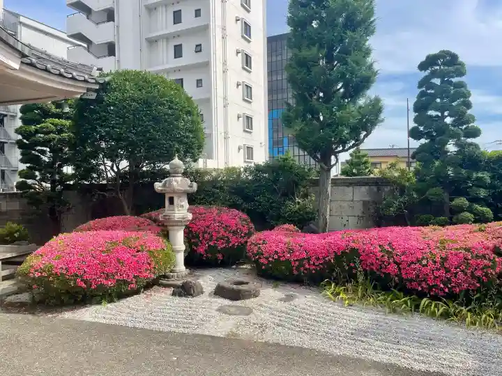 善願寺(栃木県)